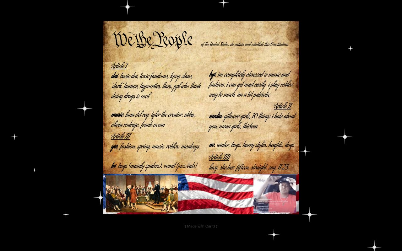 Carrd profile picture for @constitutional